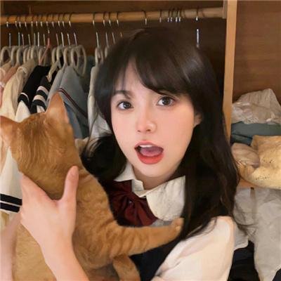 猫狗武林