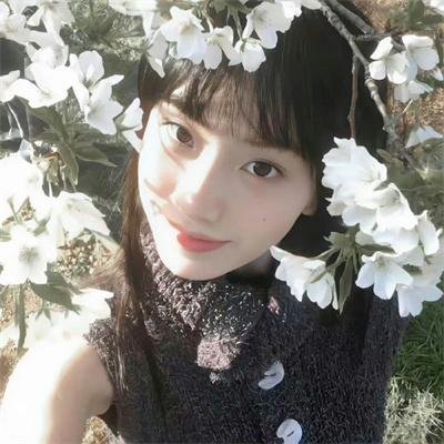 工作细胞第二季